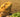 Bearded Dragon Complete Food Guide