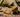 Bearded Dragon Complete Substrate Guide