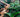 The Difference Between Bioactive and Naturalistic Reptile Enclosures