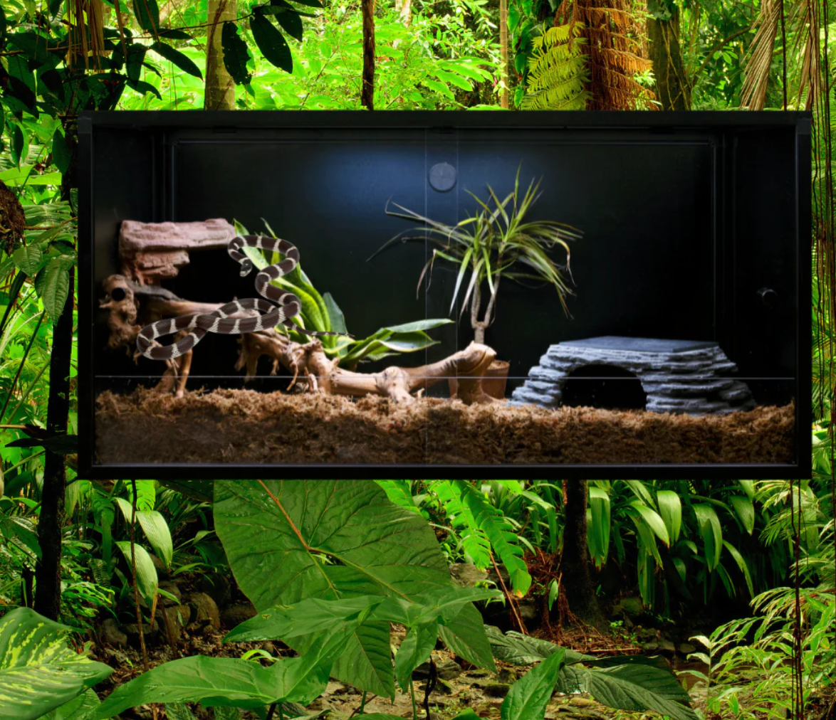 Amazon.com: Instahibit UV50+ 通用隱私遮陽篷帳篷側壁適合 10 x 10 英尺戶外活動 花園遮陽棚遮光 1 入 :  露臺、草皮與花園