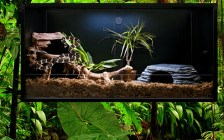 Your Favorite Reptile Enclosures, Now In Black! | Zen Habitats Black Reptile Enclosures