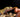 Leopard Gecko Complete Food Guide