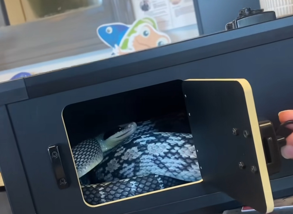 L'Appartement ベアテレコTANK Safe Reptile Transportation | Introducing The Zen Den – Zen Habitats