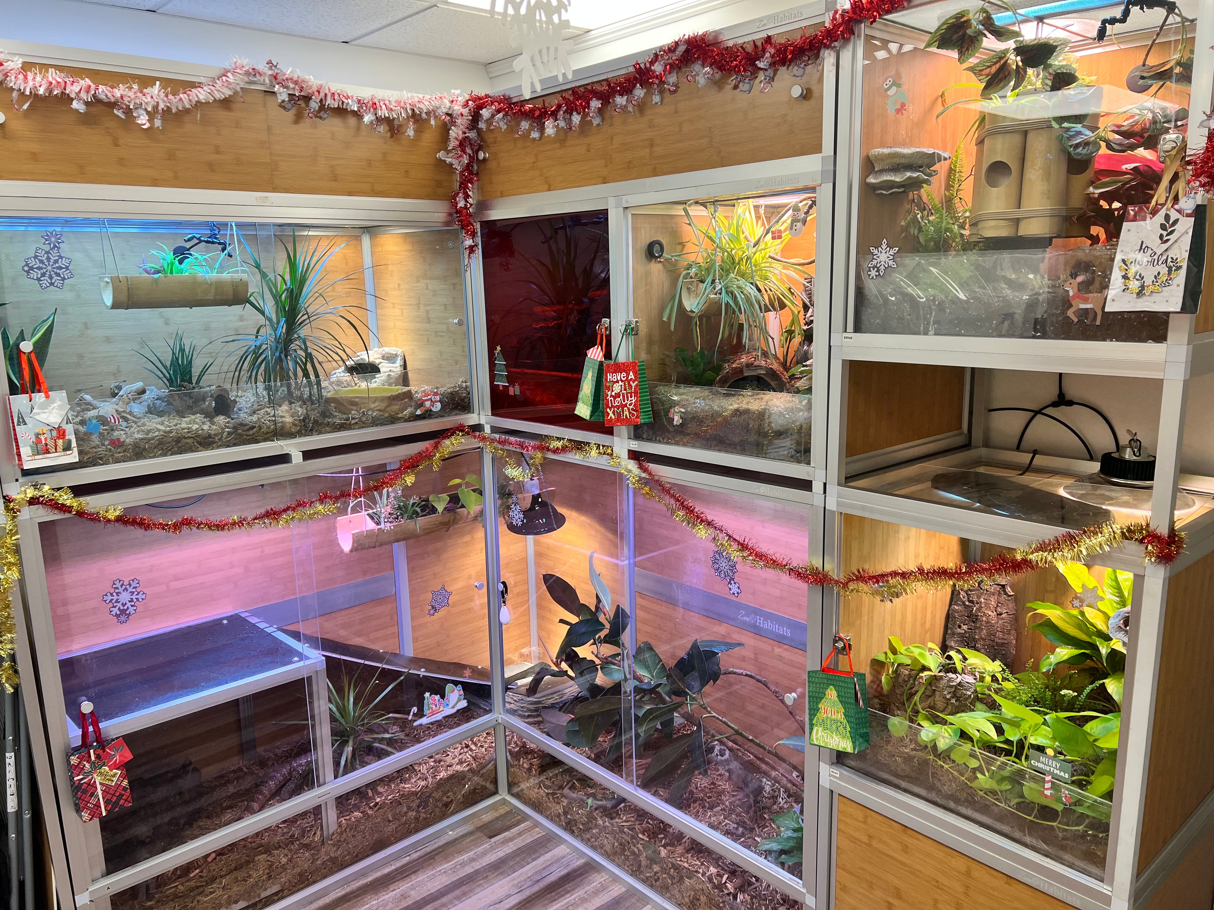 Why Zen Habitats Is the Only Reptile Enclosure You Will Need