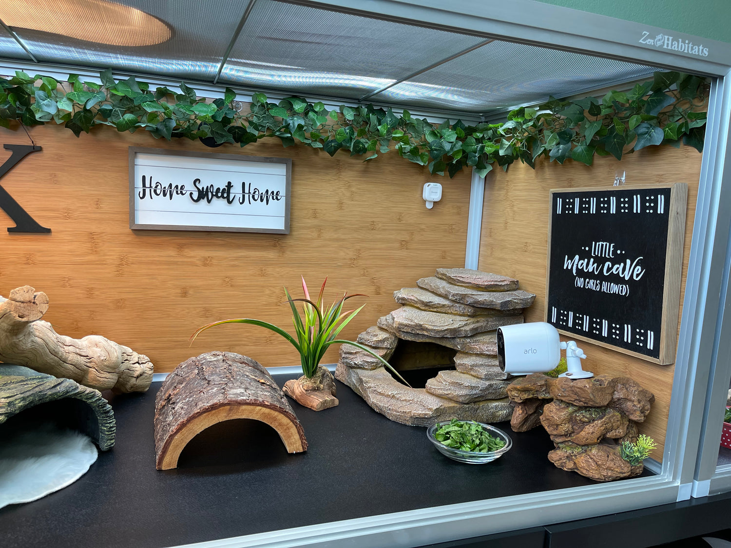 Home sweet home inside a Zen Habitats 4x2x2 reptile enclosure, with a Zen mat from Zen Habitats