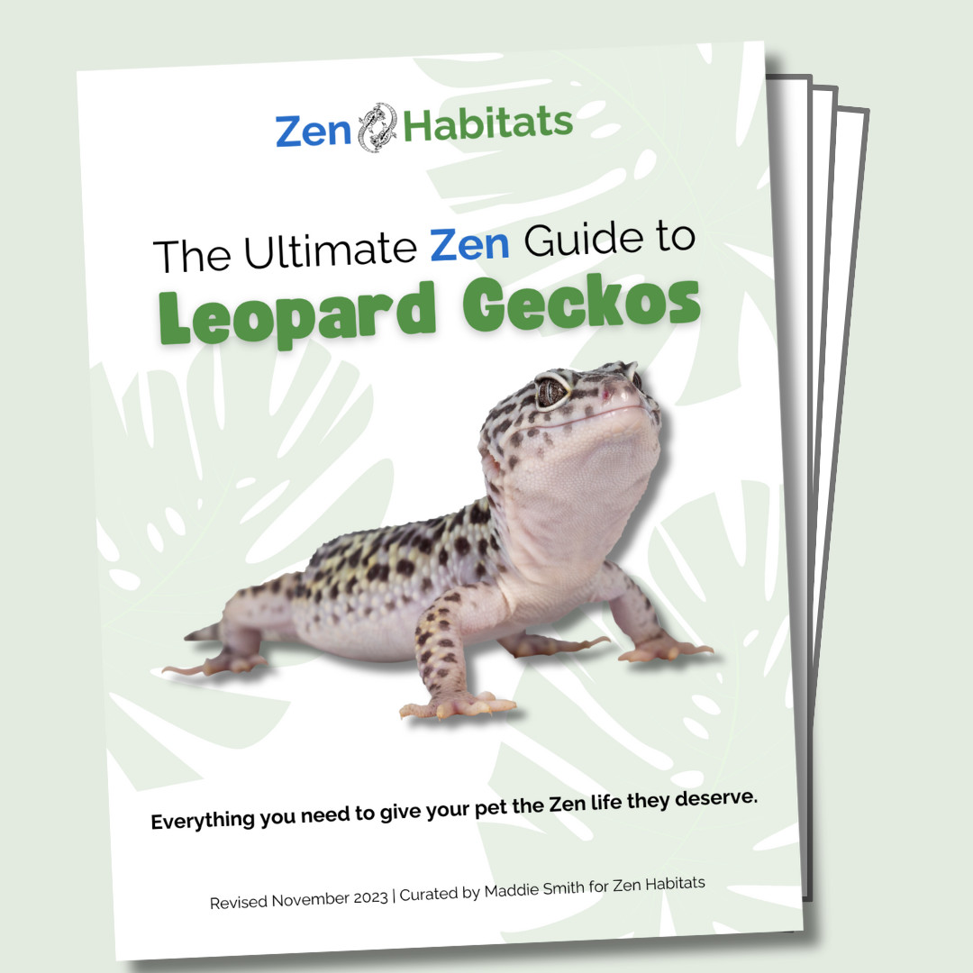 The Ultimate Zen Guide to Leopard Geckos