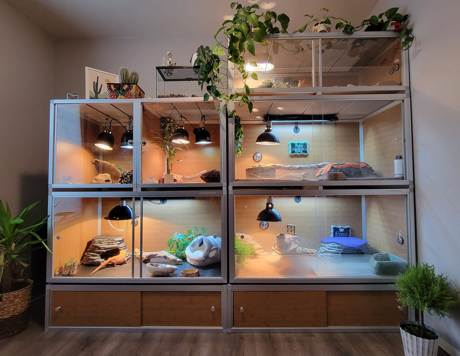 Stack of multiple Zen Habitats enclosures including 2 2x2x2 Zen Habitats enclosures, and 4 4x2x2 reptile enclosures by Zen Habitats ,