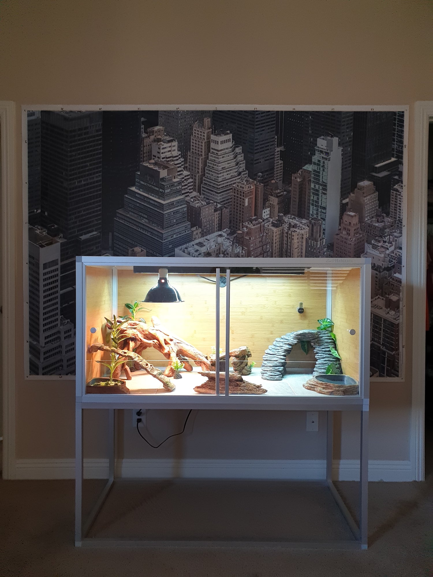 Zen Habitats 4x2x2 reptile enclosure on a 4x2x2 enclosure stand