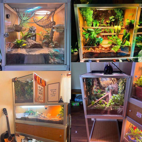 Multiple images of 2'x2'x'2 Zen Habitats PVC Reptile Enclosure, perfect for crested geckos