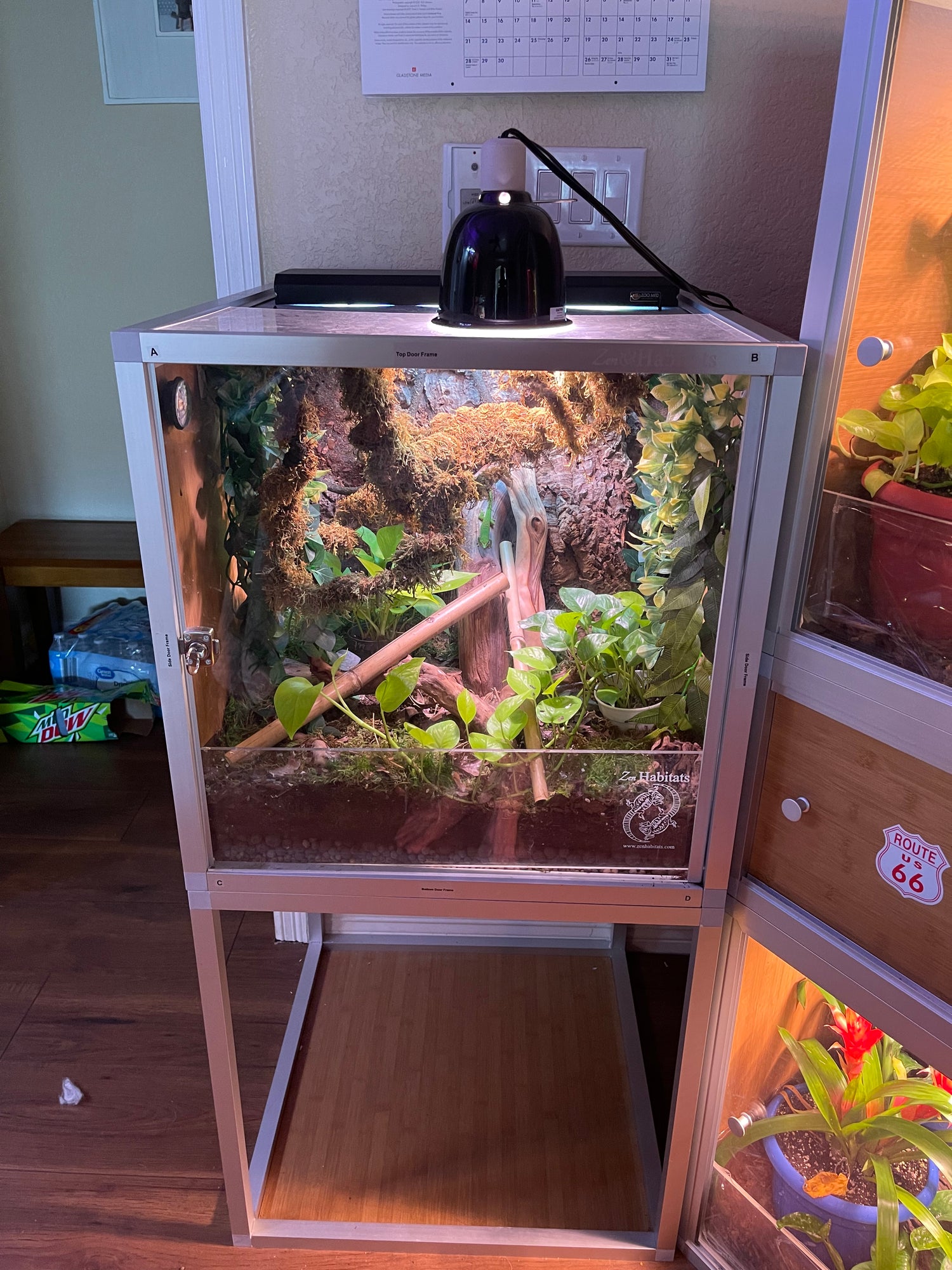 Zen Habitats 2x2x2 PVC Reptile Enclosure on a Zen Habitats 2x2x2 enclosure stand