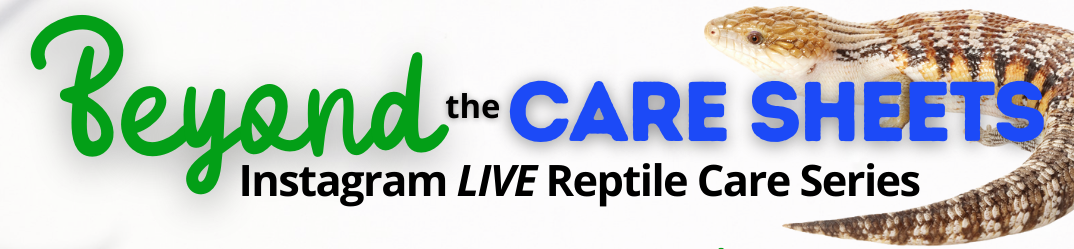 Beyond the care sheets, a instagram live series event by Zen Habitats