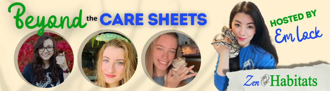 Beyond the care sheets, a Zen Habitats series where reptile experts and influencers chat on Instagram live.