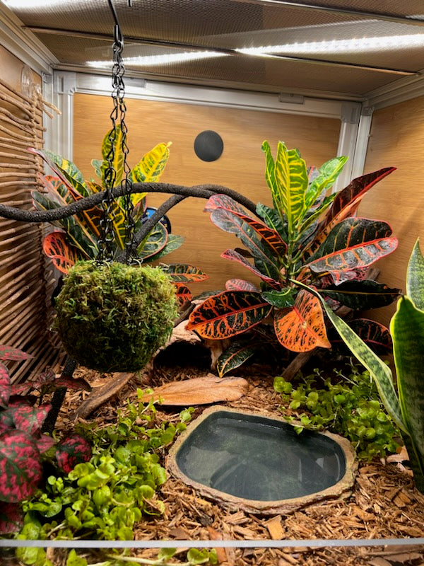 zenhabitats
