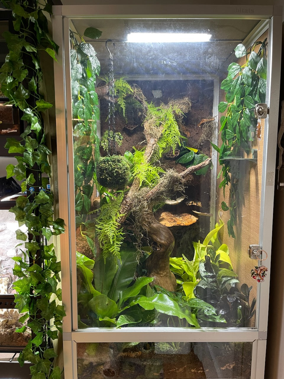 zenhabitats