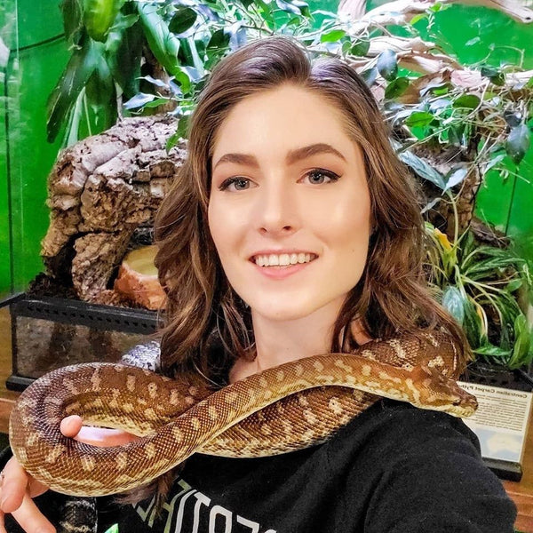 Mariah healey of Reptifiles holding a snake