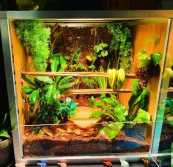 zenhabitats