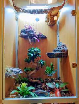 zenhabitats