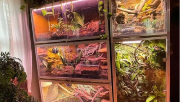 zenhabitats