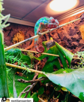 zenhabitats