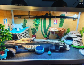 zenhabitats