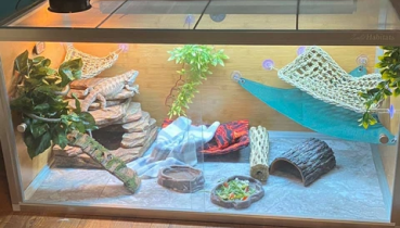 zenhabitats