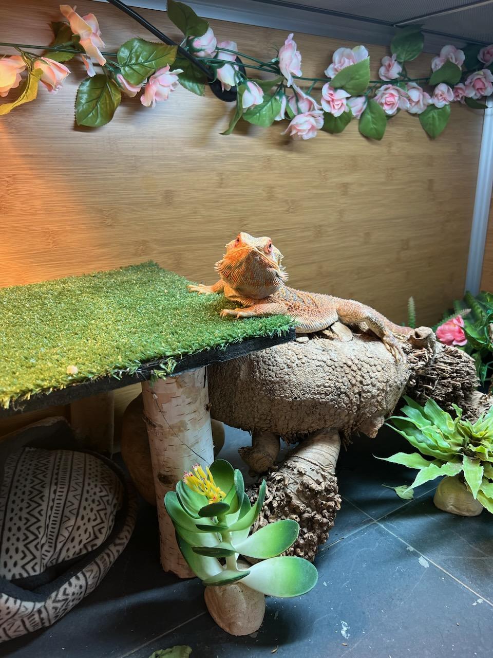 zenhabitats