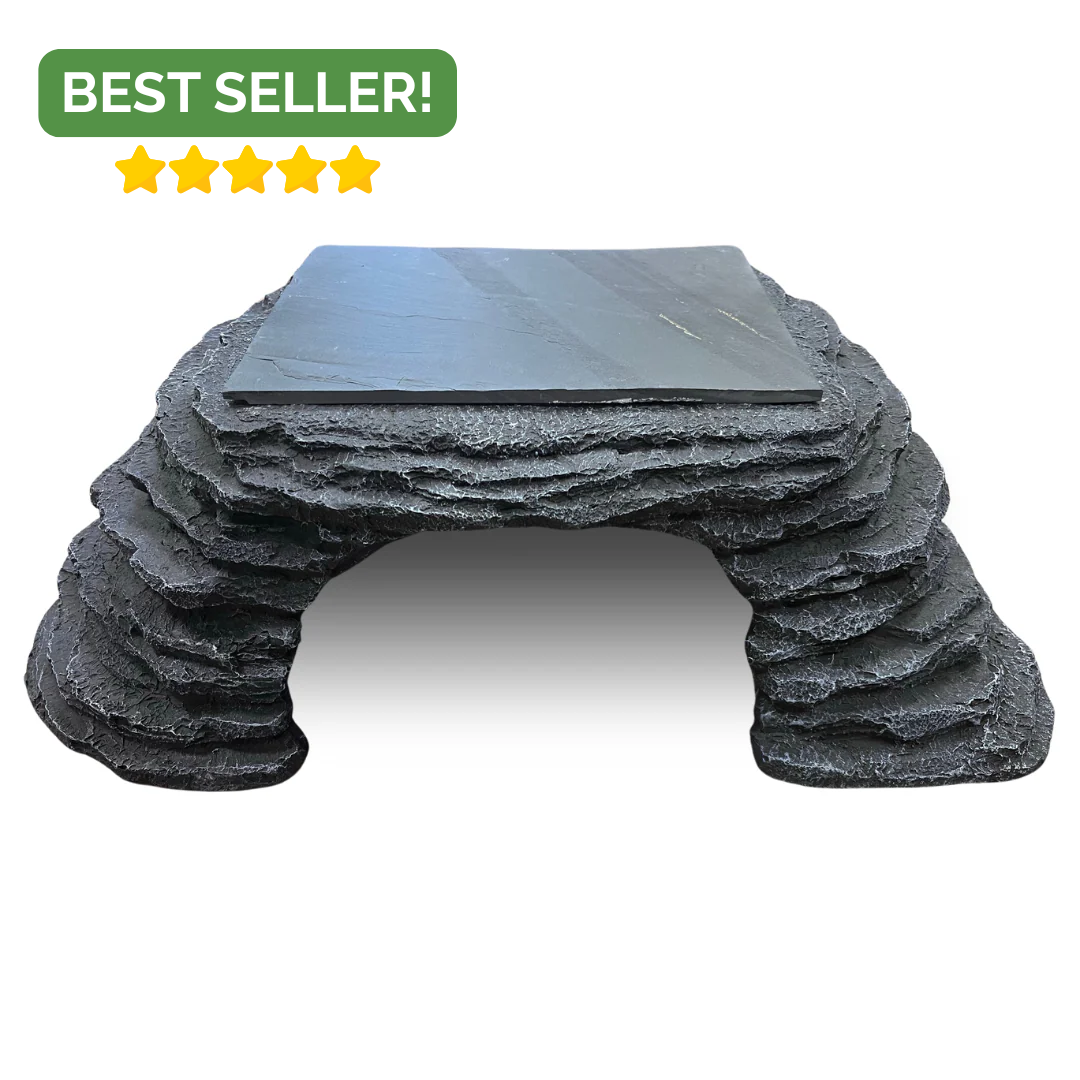 Zen Cave with 9 Zen Cave with 9