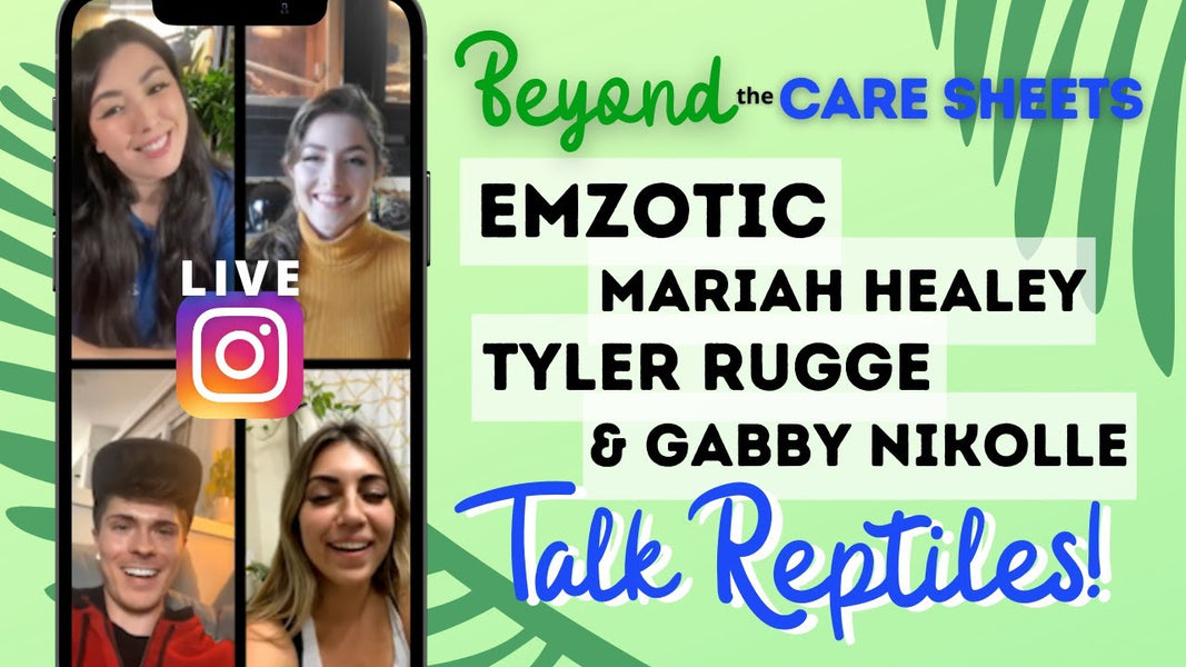 Emzotic, Mariah Healey, Tyler Rugge, & Gabby Nikolle Talk REPTILES! | Beyond The Care Sheets | S1E4