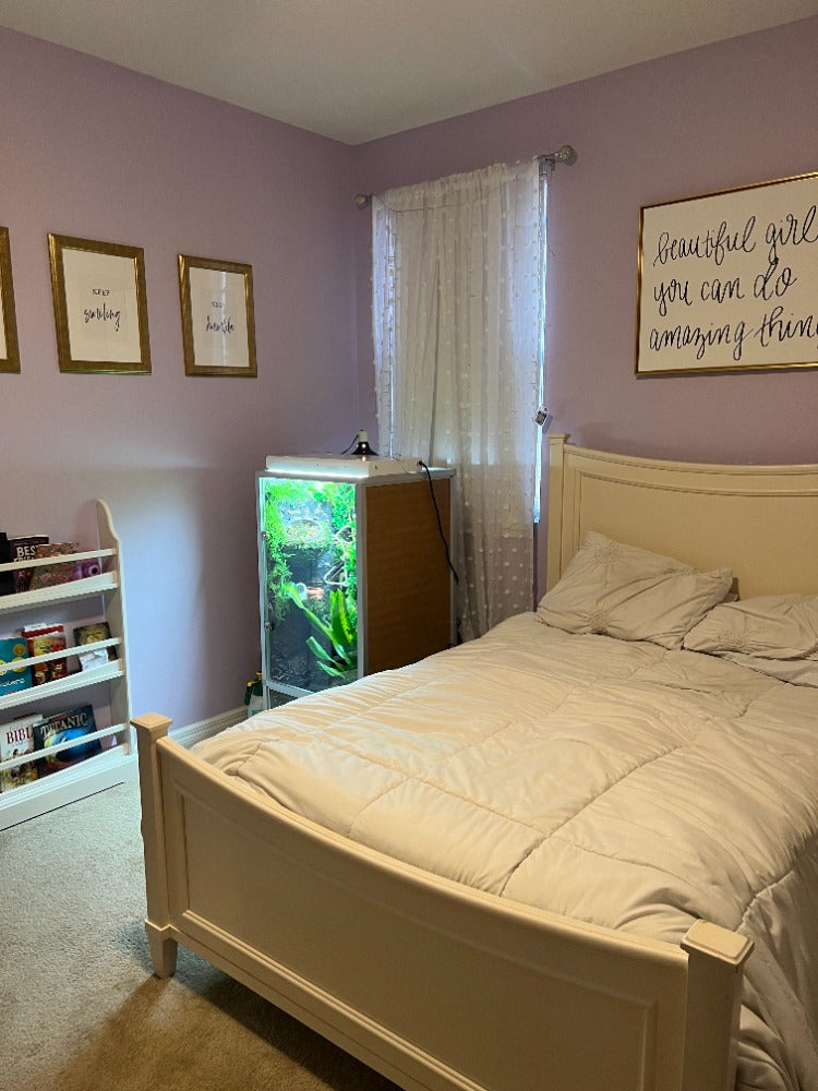 Zen Habitats 2x2x4 enclosure inside a bedroom