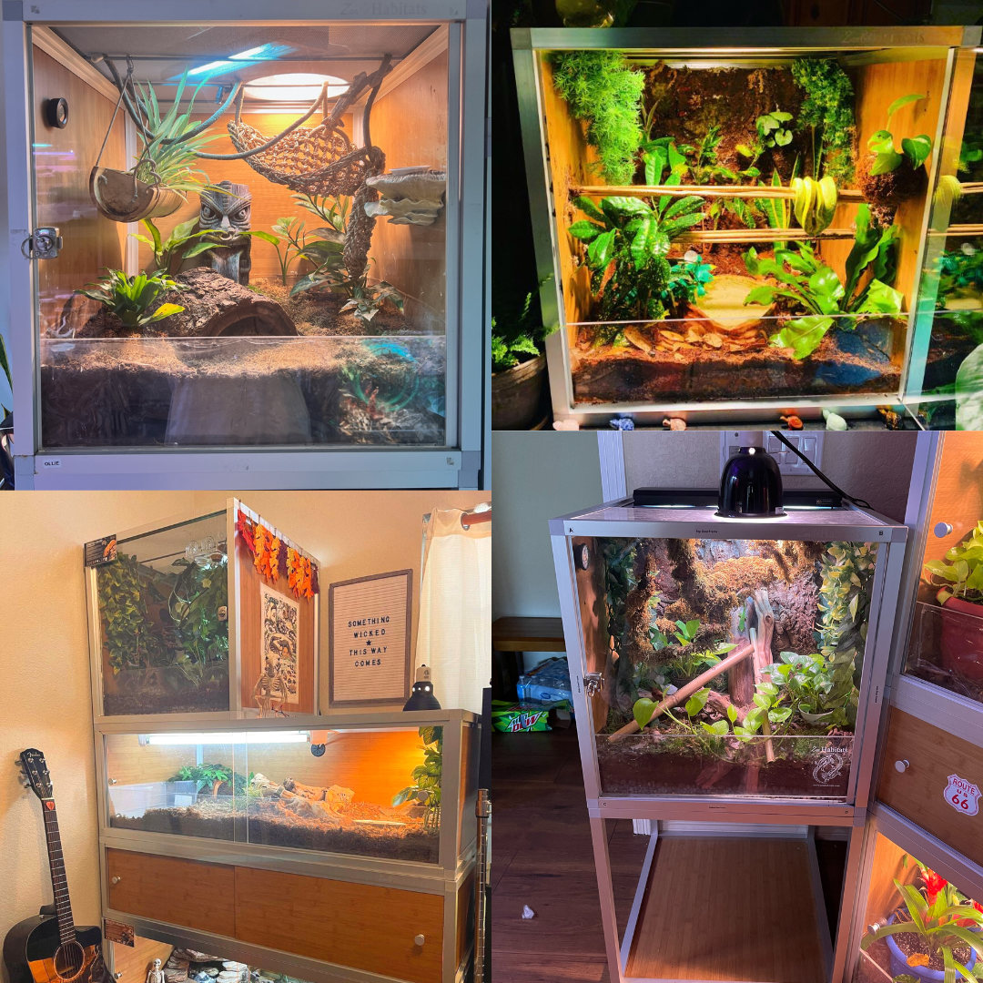 2'x2'x2' Meridian PVC Crested Gecko Enclosure