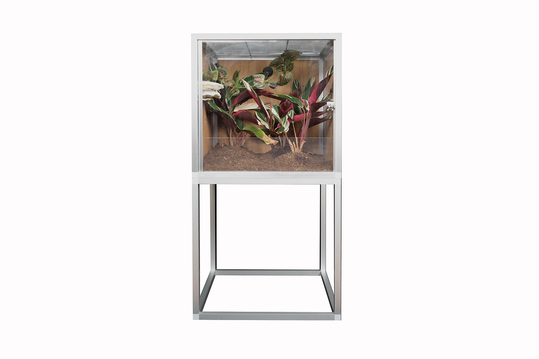 Enclosure Stand - for 2'x2' based Zen Habitats Enclosures