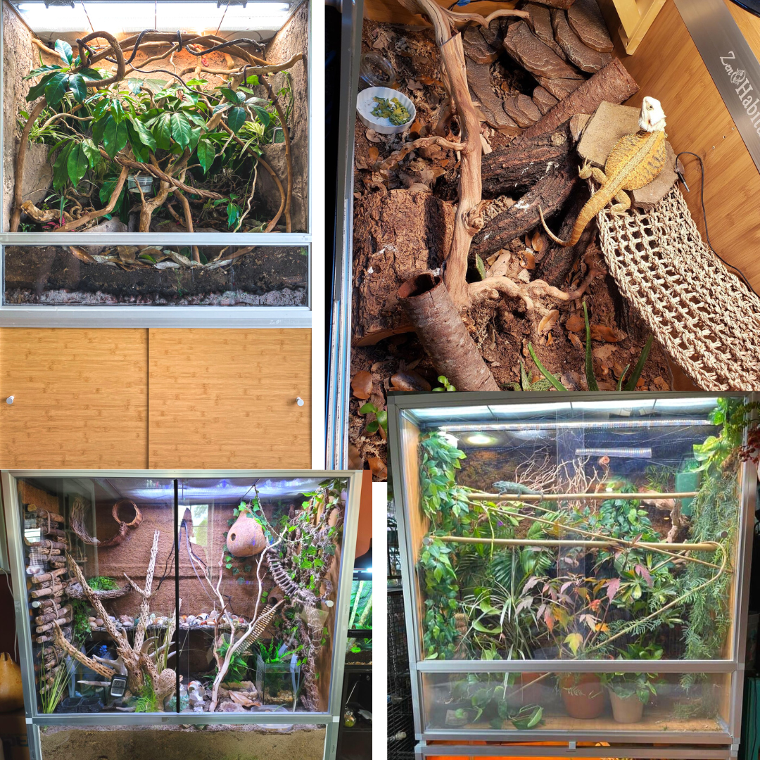 4'x2'x4' Meridian PVC Crested Gecko Enclosure