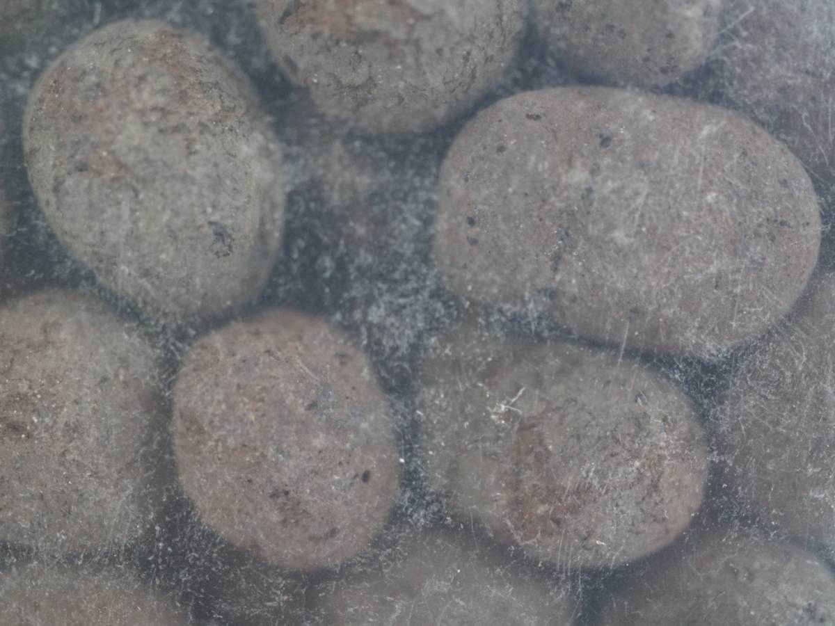 Josh's Frogs False Bottom - LECA (5 Quarts)