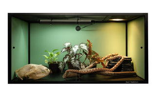 Ways to Decrease Your Reptile's Stress During an Enclosure Upgrade