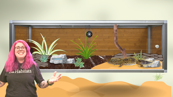 Creating A Leopard Gecko Desert Oasis | Bioactive Leopard Gecko Build!