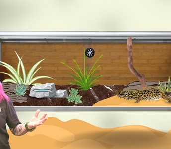 Creating A Leopard Gecko Desert Oasis | Bioactive Leopard Gecko Build!