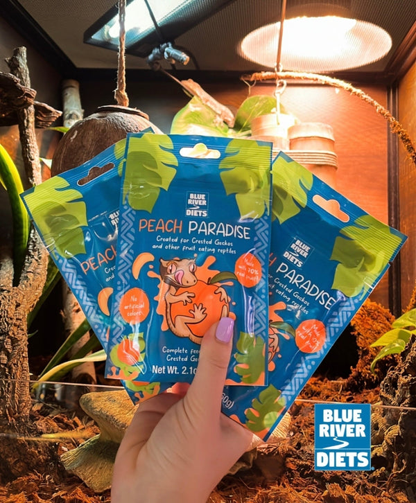 Why Zen Habitats Chooses Blue River Diets for Our Reptiles