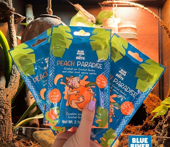 Why Zen Habitats Chooses Blue River Diets for Our Reptiles