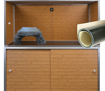 How to Set Up a Quarantine Enclosure for Your Reptile