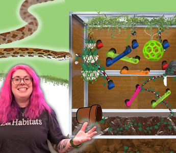 Making a Snake Jungle Gym! | Enriching Corn Snake Enclosure Upgrade