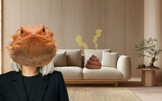 Things Reptiles Do to Their Enclosures That Would Horrify an Interior Designer