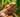 Best UVB Bulbs for Bearded Dragons: T5 vs. T8