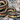 Reptile Cohabitation: Is It Ethical?