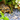 Are Turtles / Tortoises Good Pets? What To Know Before Getting One
