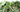 Why You Should Feed Your Reptile Silkworms!