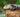 Answering The Most Asked Blue-Tongued Skink Questions | Zen Habitats