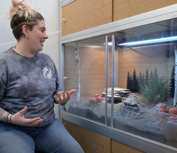 Building an Enchanting Hognose Snake Enclosure! | Bioactive Hognose Enclosure