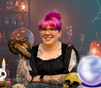 Spooktacular Ways to Decorate Your Reptile Room for Halloween!