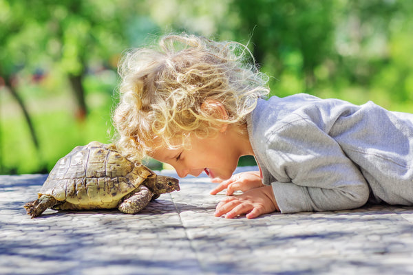 Help! My Kid Wants a Pet Reptile!