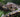 How to Limit Cross-Contamination Between Reptiles in the Same House